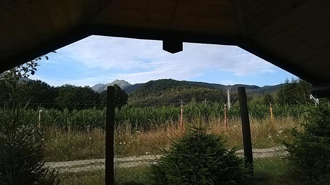 Pensiunea Maya Sîmbăta de Sus Екстериор снимка