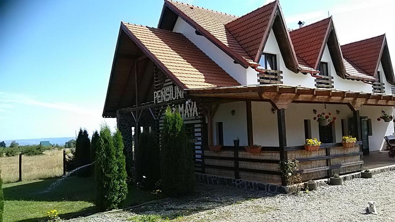 Pensiunea Maya Sîmbăta de Sus Екстериор снимка