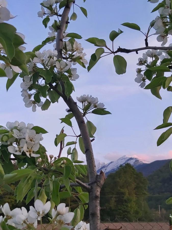 Pensiunea Maya Sîmbăta de Sus Екстериор снимка