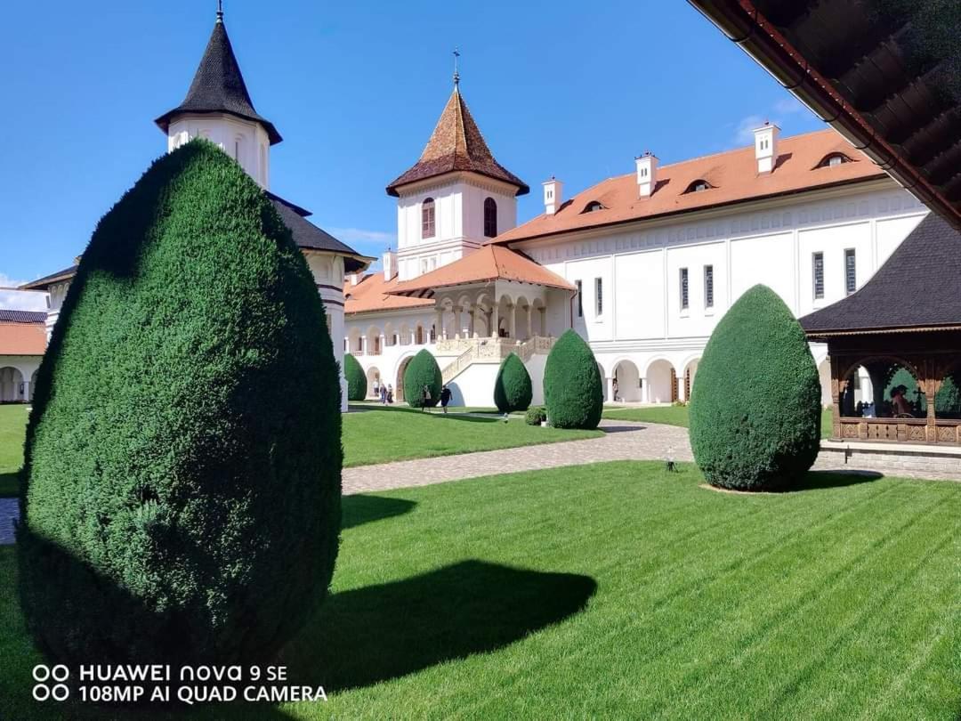 Pensiunea Maya Sîmbăta de Sus Екстериор снимка