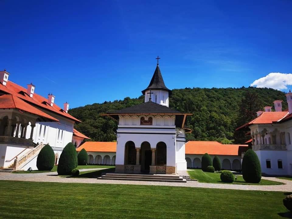 Pensiunea Maya Sîmbăta de Sus Екстериор снимка