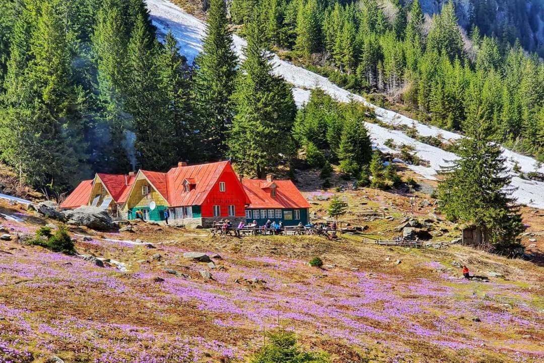 Pensiunea Maya Sîmbăta de Sus Екстериор снимка